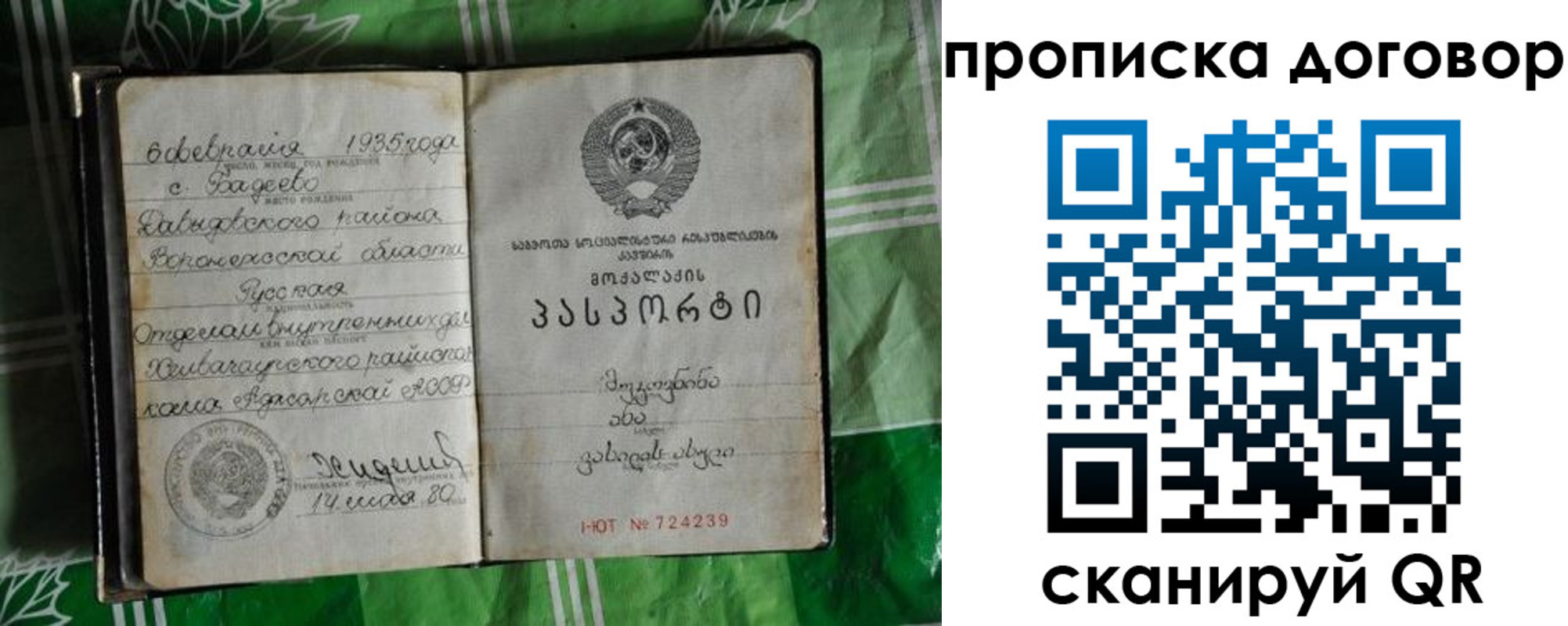 прописка в Волоколамске